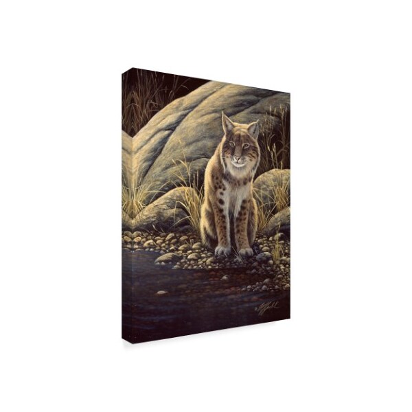 Wilhelm Goebel 'Backlight Bobcat' Canvas Art,35x47